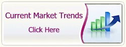 Current Market Trends